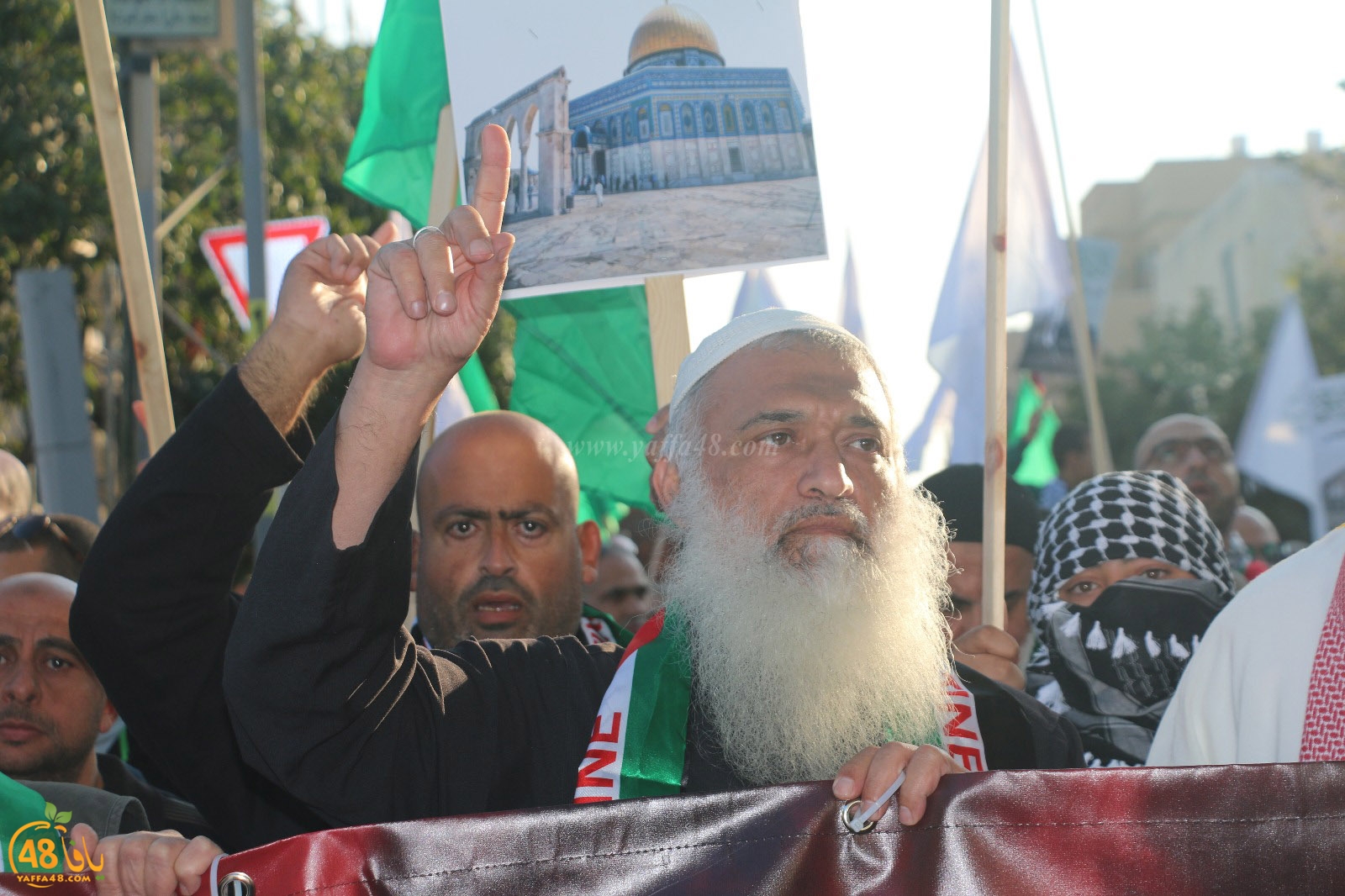 yaffa modahara jeq (96).jpg